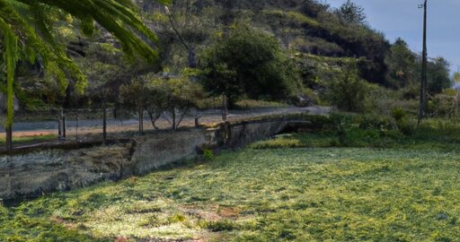 Zeleninová quiche s špenátem