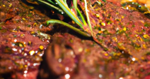 Hovězí steak s bramborovou moučníkovou kůrou