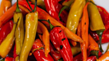 Kuşari plněné papriky