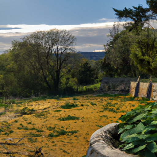Hummus s chlebem a zeleninou.