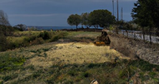 Kančí rillettes s bagetou