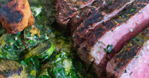 Asado s chimichurri a chimichurri