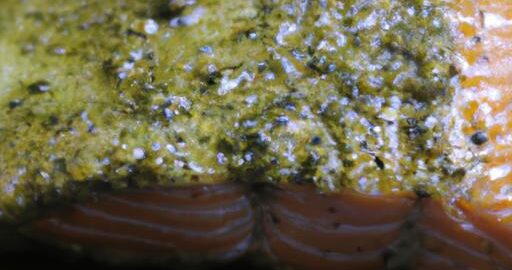 Grilovaný losos s bylinkovým pestem