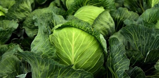 Knedlo-vepřo-zelo s karamelizovanou cibulkou