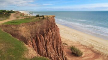 Falusia – kořeněná fazolová pomazánka