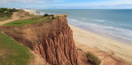Falusia – kořeněná fazolová pomazánka