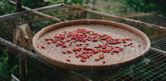 Pikantní krevety s kokosem