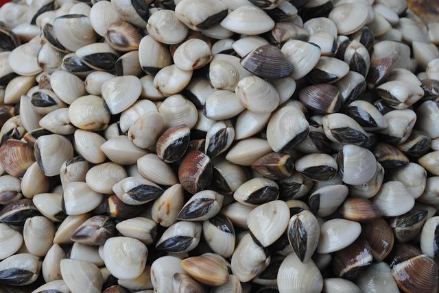 Zapečená dýně s masovou nádivkou