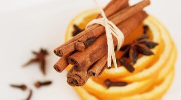 Hřebíčková vepřová panenka s brusinkami