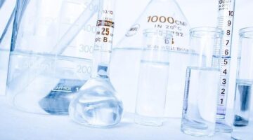 Plněné pampelišky s masem