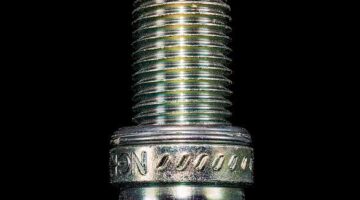 Palačinkový závit s tvarohem a lesním ovocem