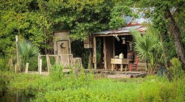 Cajun krevety s ananasem