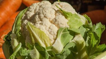 Květák s lískovým oříškem