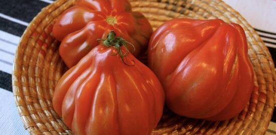 Boeuf bourguignon s bramborami