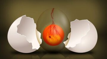 Vaječná omeleta s ricottou