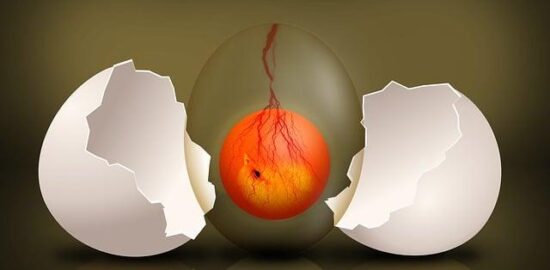 Vaječná omeleta s ricottou