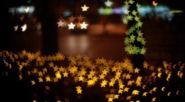 Ryžová kulička s jogurtem