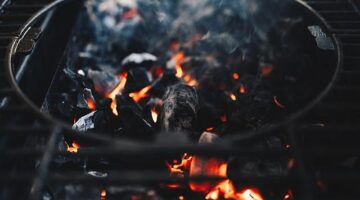 Grilovaný sýr s omáčkou BBQ