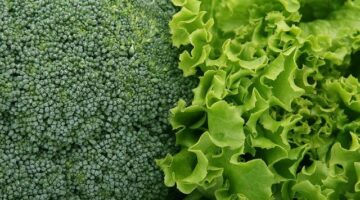 Faluša salát s granátovým jablkem