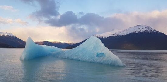 Argentinské empanadas s chimichurri