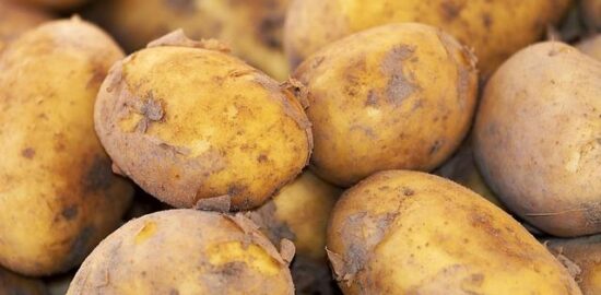 Lilek na žerno plněný sýrem