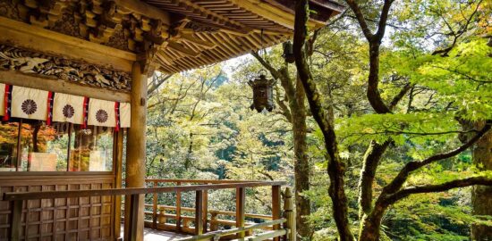 Japonská miso polévka s tofu