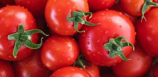 Zapečené rajčata s mozzarellou