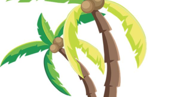 Kokosový dort s malinami