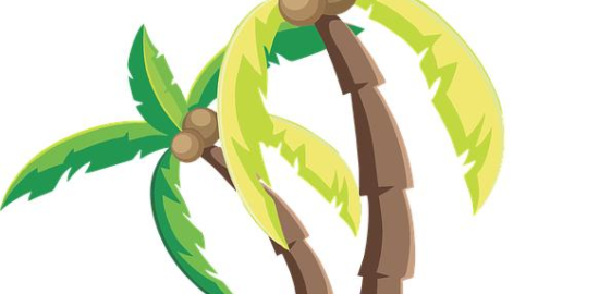 Kokosový dort s malinami