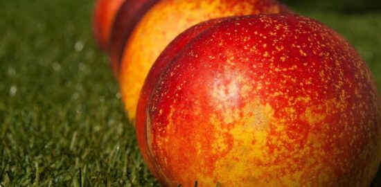 Broskve v pečivu s krémem