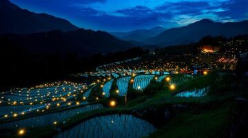 Rýžová placka s bramborem curry