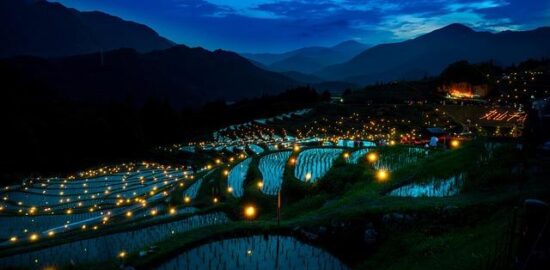 Rýžová placka s bramborem curry