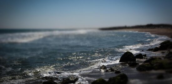 Kuře v kořeněné omáčce