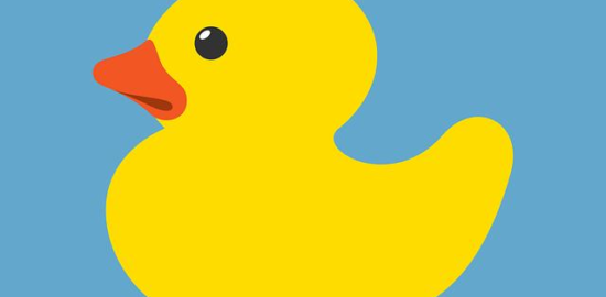 Brazilská kachna s pomerančem