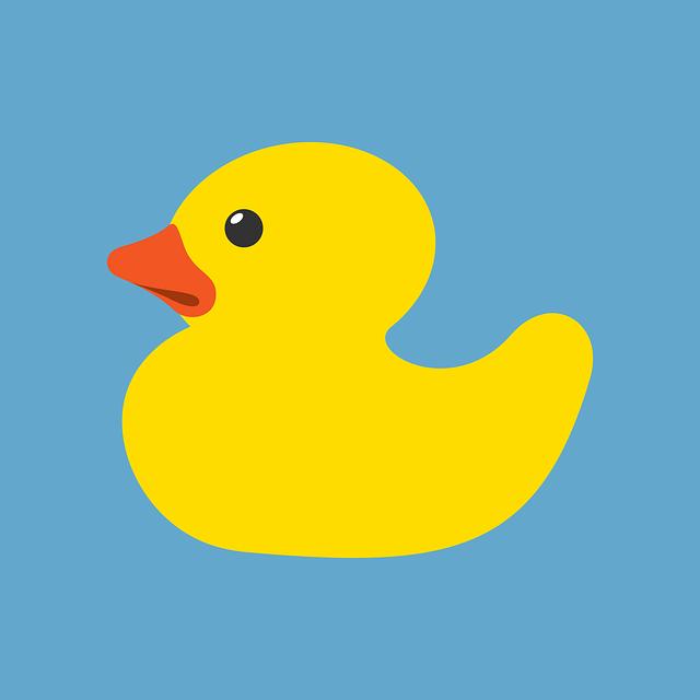 Brazilská kachna s pomerančem