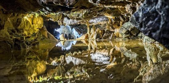 Cestoviny s chedarem a šunkou