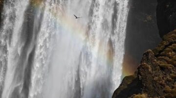 Teč z dužiny baklažánu