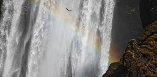 Teč z dužiny baklažánu