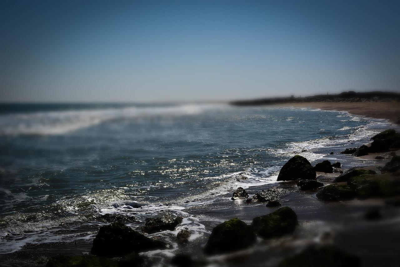 Kuře cacciatore se zeleninou