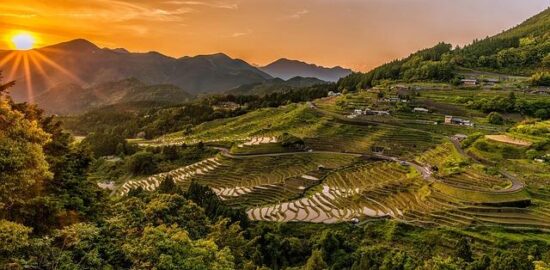 Rýžové placičky kimchi – bibimbap