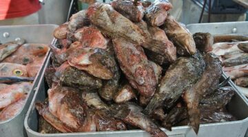 Bouillabaisse sýrová polévka s česnekovými grilovanými crostinis