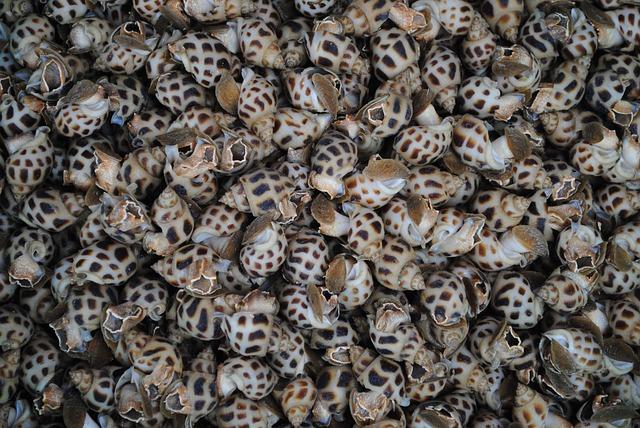 Zapečená aubergine se sójovým jogurtem