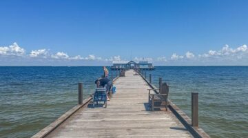 Pommes Anna s česnekem a bylinkami