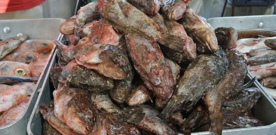 Bouillabaisse – rybí polévka s chlebem