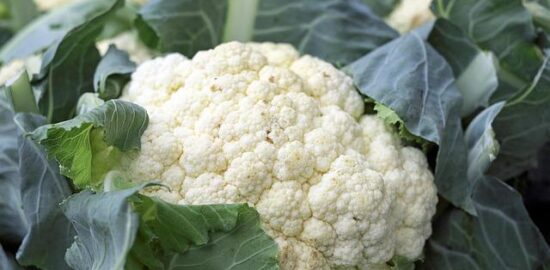 Květákový steak s avokádovým pyré