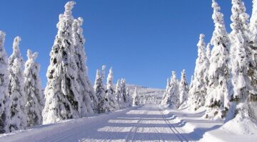 Krkonošské kyselo s kroupami