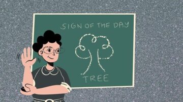 Ašlama – kuřecí polévka s cizr­nou