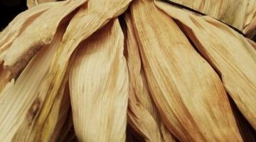 Tamales se zeleninou a sýrem