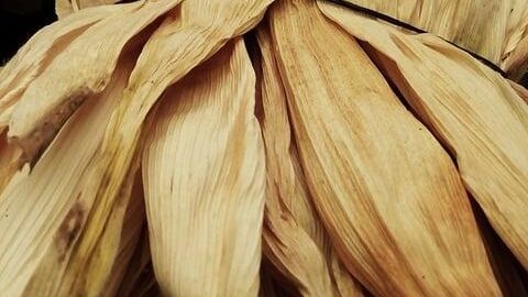 Tamales se zeleninou a sýrem