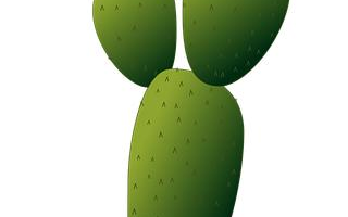 Hrnkový marocký rajčatový guláš se smaženými cuketami